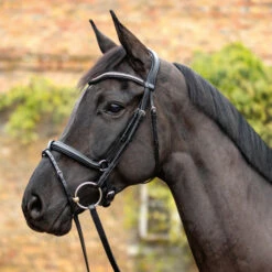Passier Balance Snaffle Bridle -Equestrian Supplie Store balance snaffle black lifestyle 831 passier 42603.1665086485