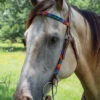 Circle Y Vibrant Infinity Beaded Brow Headstall 2 Circle Y Vibrant Infinity Beaded Brow Headstall -Equestrian Supplie Store bead inifinity color brow hs multi lifestyle X0223 4069 circle y 68489.1666373225