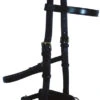 Bobby's English Tack Leather Lunge Caveson -Equestrian Supplie Store betleatherlungecaveson138 71468 27177.1527292278
