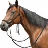 Tory Leather Bitless Poly Bridle With Reins 1 Tory Leather Bitless Poly Bridle With Reins -Equestrian Supplie Store bitless bridle 1 34998 30178.1527298889