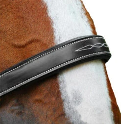 Black Oak Willow Halter -Equestrian Supplie Store black oak willow halter brown noseband kl select 88998.1643231350