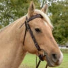 Circle Y Bluestem QC Brow Headstall -Equestrian Supplie Store bluestem qc brow headstall palomino 1040 10 ST circle y 67625.1691199812