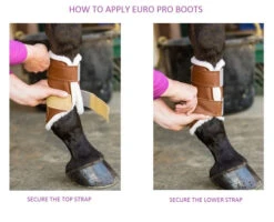 Euro Pro Heidi Closed Front Boot 11 Euro Pro Heidi Closed Front Boot -Equestrian Supplie Store boot apply guide euro pro 21320.1601669546