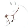 Equipe Elastic Figure 8 Noseband 2 Equipe Elastic Figure 8 Noseband -Equestrian Supplie Store br49fig8grakle 49598 58258.1527304606