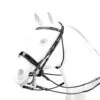 Equipe Charlotte Dujardin Patent Double Bridle -Equestrian Supplie Store br58 40432 81538.1576097054
