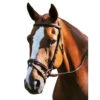 Red Barn Burghley Flash Bridle 2 Red Barn Burghley Flash Bridle -Equestrian Supplie Store burghley bridle kl select 56969.1643851739