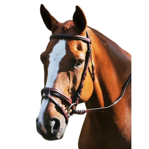 Red Barn Burghley Flash Bridle 3 Red Barn Burghley Flash Bridle