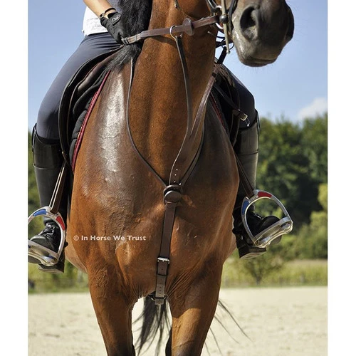 In Horse We Trust C-Cure Elastic Running Martingale 4 In Horse We Trust C-Cure Elastic Running Martingale - Image 2