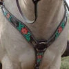 Circle Y Cactus Flower Breast Collar -Equestrian Supplie Store cactus flower breast collar horse 1000 23 SC circle y 73083.1613591811