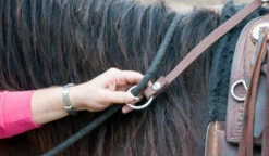 BOOMA Rein Safety Rein -Equestrian Supplie Store carabineroring 36921 23822.1527296832