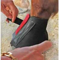 Cavallo Pastern Wraps -Equestrian Supplie Store cavallo pastern wrap 39 81342 20974.1527299160