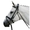 Waldhausen Chambon -Equestrian Supplie Store chambon black 140400 waldhausen 55986.1643844828