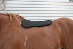 Circle Y Shoulder Bridge Pad 3/4" Or 1" -Equestrian Supplie Store circle y shoulder bridge pad 3 4 or 1 3 37072.1527884105