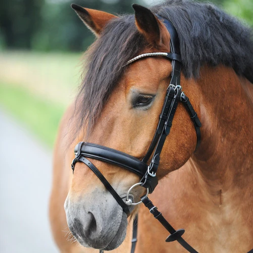 Kavalkade Clinchesse Snaffle Bridle 5 Kavalkade Clinchesse Snaffle Bridle - Image 3