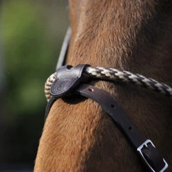 In Horse We Trust Coated Rope Noseband 8 In Horse We Trust Coated Rope Noseband -Equestrian Supplie Store coated rope noseband havana flash horse ihwt 79428.1658786888