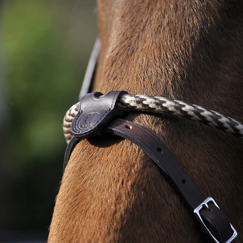 In Horse We Trust Coated Rope Noseband 5 In Horse We Trust Coated Rope Noseband - Image 3