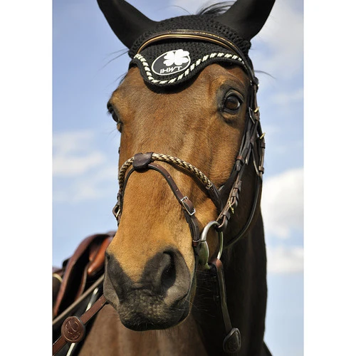 In Horse We Trust Coated Rope Noseband 4 In Horse We Trust Coated Rope Noseband - Image 2