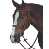 Collegiate Monocrown Fancy Stitch Raised Bridle