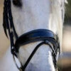 Halter Ego Copenhagen Navy Patent Snaffle Bridle 1 Halter Ego Copenhagen Navy Patent Snaffle Bridle -Equestrian Supplie Store copenhagen flat snaffle nv.pt navy noseband halter ego 13093.1682618523