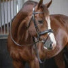 PÉNÉLOPE Pénélope Daily Snaffle Bridle -Equestrian Supplie Store daily snaffle black side 301 602 218 penelope 89083.1688761034