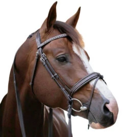 PÉNÉLOPE Pénélope Daily Snaffle Bridle -Equestrian Supplie Store daily snaffle havana side white 301 602 318 penelope 17043.1688760922