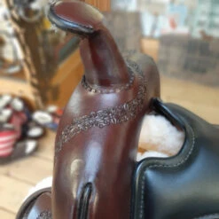 High Horse Daisetta Cordura Trail Saddle By Circle Y -Equestrian Supplie Store daisetta cordura saddle swell marys high horse 37151.1579053607