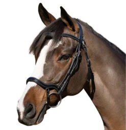 Halter Ego Deauville Anatomical Jumper Bridle -Equestrian Supplie Store deauville jumper bridle black halter ego 16705.1687998614