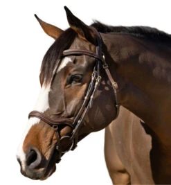 Halter Ego Deauville Anatomical Jumper Bridle -Equestrian Supplie Store deauville jumper bridle brown left halter ego 55546.1687998645