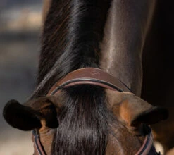 Halter Ego Deauville Anatomical Jumper Bridle -Equestrian Supplie Store deauville jumper bridle crown halter ego 72644.1687998650