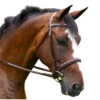 KL Italia Del Mar Hunter Bridle -Equestrian Supplie Store del mar hunter bridle kl select 76669.1643851905