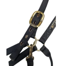 Big D Nylon Draft Halter - Snap + Adjustable Chin -Equestrian Supplie Store draft halter black hardware big d mtf 63256.1649965248