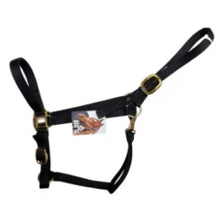 Big D Nylon Draft Halter - Snap + Adjustable Chin -Equestrian Supplie Store draft halter black side big d mtf 52393.1649965225