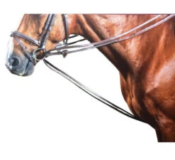 Dy'on Rubber Lined Hunter Draw Reins -Equestrian Supplie Store draw reins hunter grip brown horseW W008C dyon 35929.1626810108