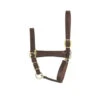 Perri's Economy Leather Foal/Pony Halter -Equestrian Supplie Store economy leather halter horse havana perris 28696.1587672893
