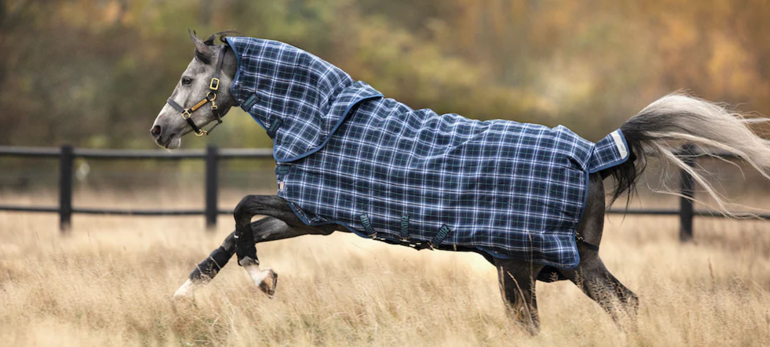 Equestrian Supplie Store -Equestrian Supplie Store fhfgh