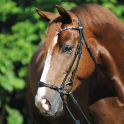 Kavalkade Fiala Drop Noseband Bridle 13 Kavalkade Fiala Drop Noseband Bridle -Equestrian Supplie Store fiala drop noseband bridle black horse 19043 kavalkade 70982.1607126906