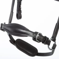 Kavalkade Fiala Drop Noseband Bridle