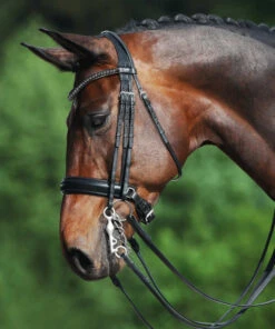 Passier Fortuna Double Bridle