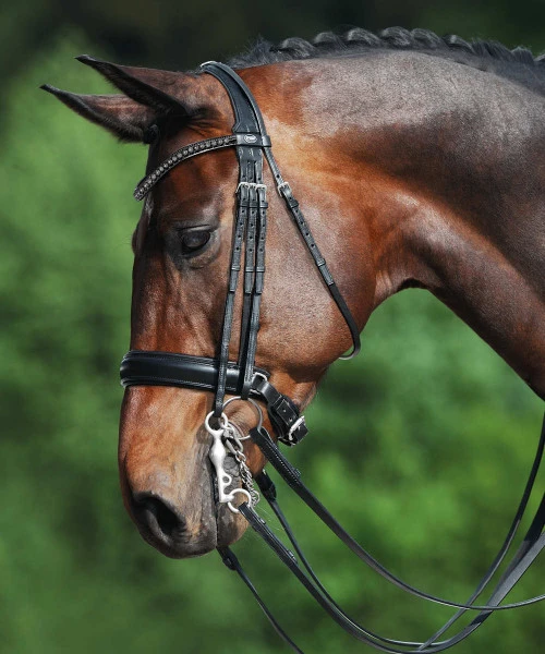 Passier Fortuna Double Bridle 3 Passier Fortuna Double Bridle