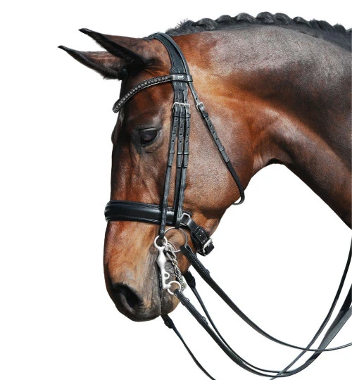 Passier Fortuna Double Bridle 6 Passier Fortuna Double Bridle - Image 4