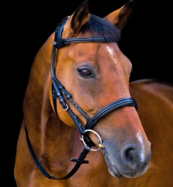 Stubben Freedom Bridle -Equestrian Supplie Store freedom bridle flash black Rside 2125003RFS stubben 63934.1630187773