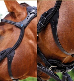Stubben Freedom Bridle -Equestrian Supplie Store freedom bridle flash black cheek 2125003RFS stubben 88834.1630187857