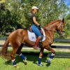 DSB Glossy Patent Dressage Sport Boot 2 DSB Glossy Patent Dressage Sport Boot -Equestrian Supplie Store glossy navy boots lifestyle dsb 56448.1592335795
