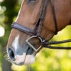 KL Select Hampton Hunter Bridle -Equestrian Supplie Store hampton hunter bridle brown cheekpiece 110502 kl select 45838.1668721712