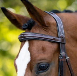 KL Select Hampton Hunter Bridle -Equestrian Supplie Store hampton hunter bridle brown crowpiece 110502 kl select 66133.1668721707
