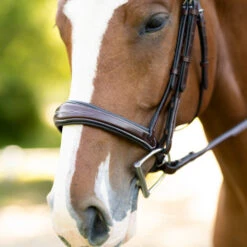 KL Select Hampton Hunter Bridle -Equestrian Supplie Store hampton hunter bridle brown noseband 110502 kl select 22107.1668721715