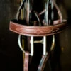 Beval Heritage Wide Fancy Stitch Bridle -Equestrian Supplie Store heritage wide cavesson bridle noseband beval 09751.1675118334