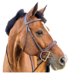 Beval Heritage Wide Fancy Stitch Bridle -Equestrian Supplie Store heritage wide cavesson bridle right w beval 11569.1675120718