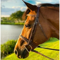 Beval Heritage Wide Fancy Stitch Bridle -Equestrian Supplie Store heritage wide fancy laced anut side 1066100 beval saddlery 95595.1675118359