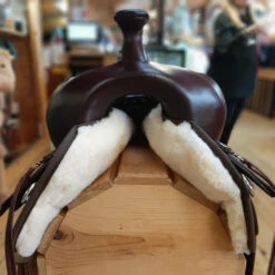 High Horse Lockhart Cordura Trail Saddle By Circle Y 15 High Horse Lockhart Cordura Trail Saddle By Circle Y -Equestrian Supplie Store high horse lockhart cordura trail saddle front marys circle y 62411.1579137732